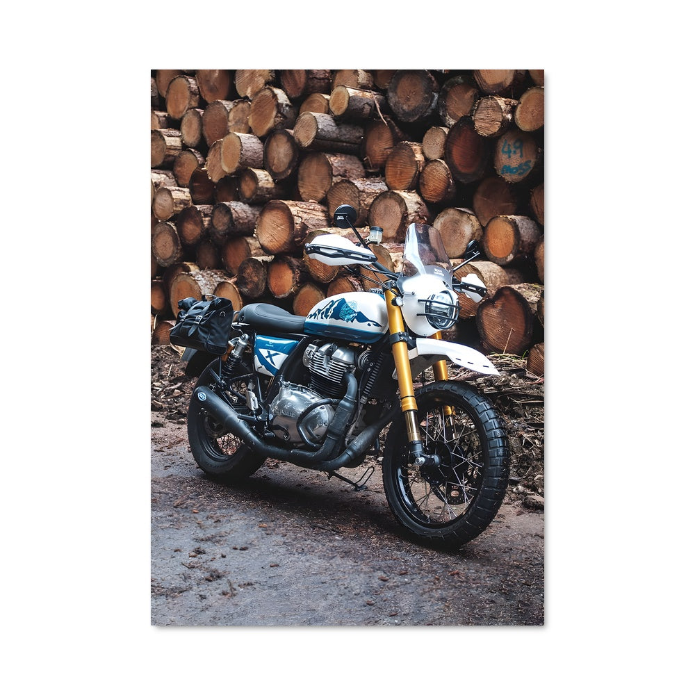 Poster Riders of the Timber