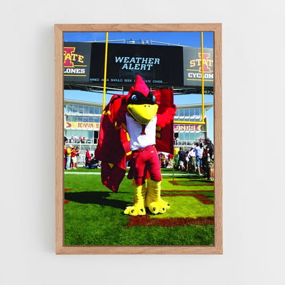 ap-iowa state cyclones-3 cadre Bois clair