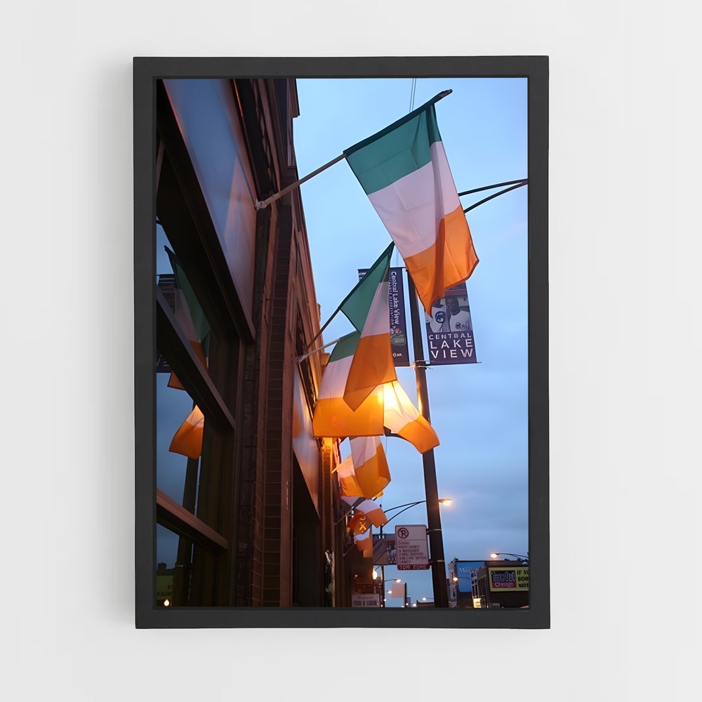 ap-ireland flag-1 cadre Noir