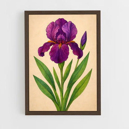 ap-iris-11 cadre Bois foncé