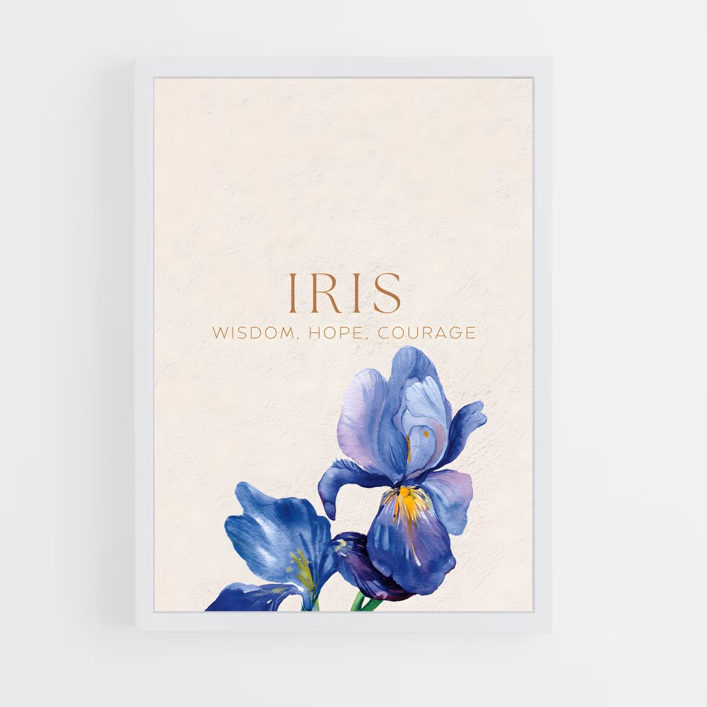 ap-iris-7 cadre Blanc