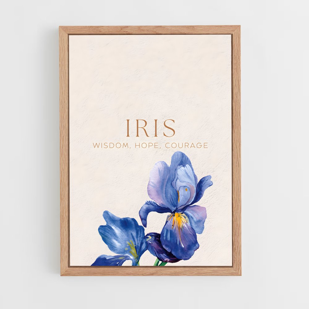 ap-iris-7 cadre Bois clair