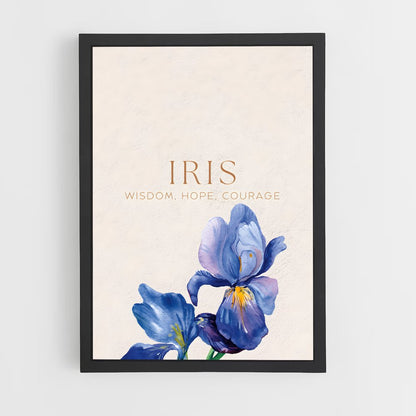 ap-iris-7 cadre Noir