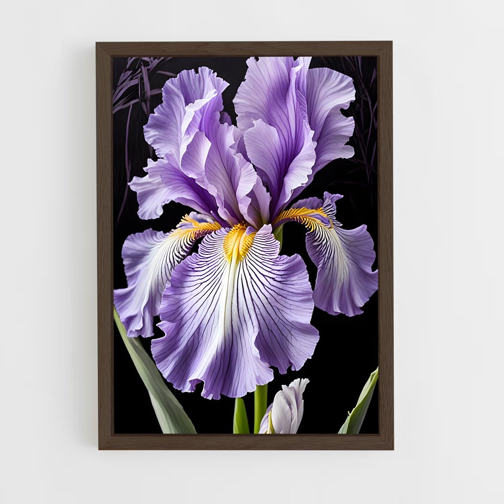 ap-iris-9 cadre Bois foncé