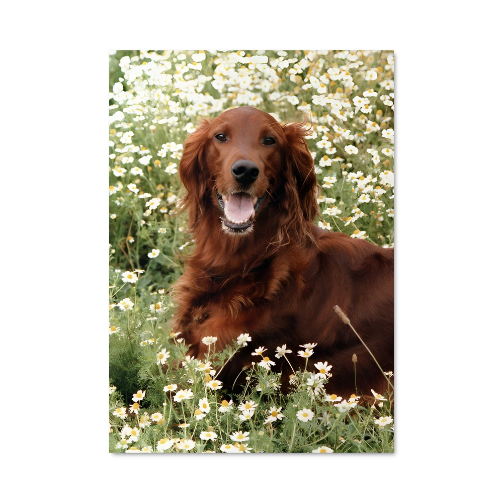 Poster Irish Serenity