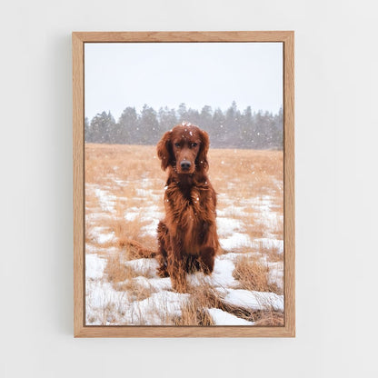 ap-irish setter-3 cadre Bois clair
