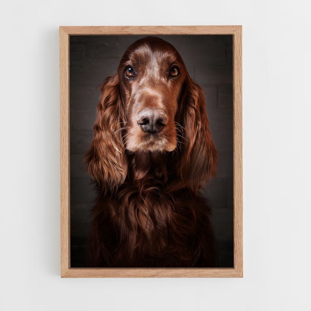 ap-irish setter-6 cadre Bois clair