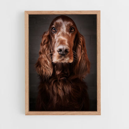 ap-irish setter-6 cadre Bois clair