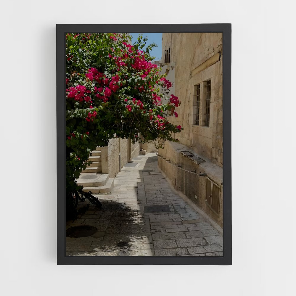 ap-israel-3 cadre Noir
