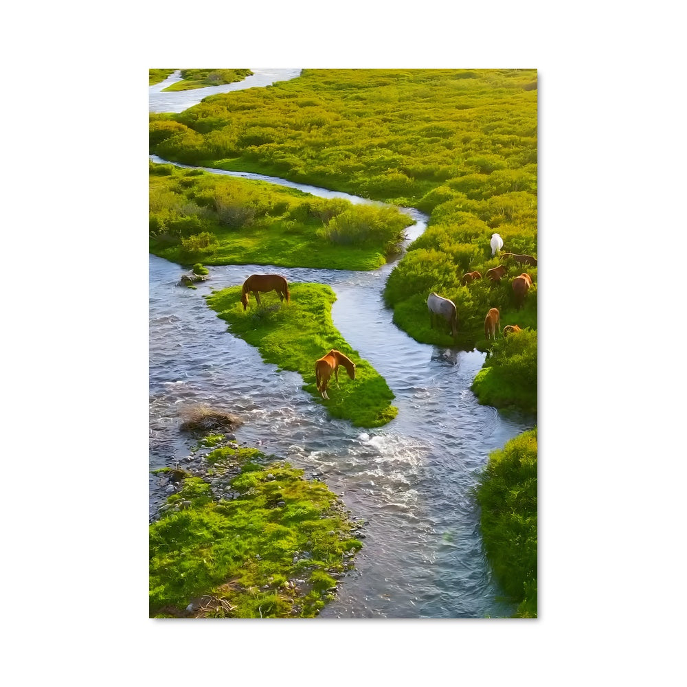 Poster Chevaux du Rivage