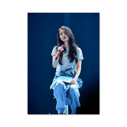Poster Iu 49533