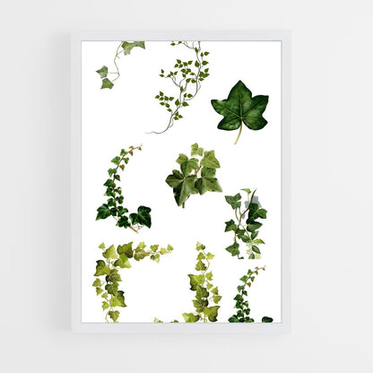 ap-ivy-7 cadre Blanc