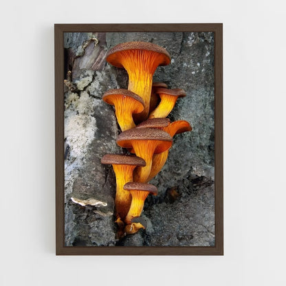 ap-jack o lantern-1 cadre Bois foncé