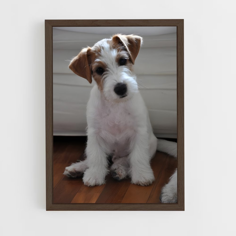 ap-jack russell terrier-1 cadre Bois foncé