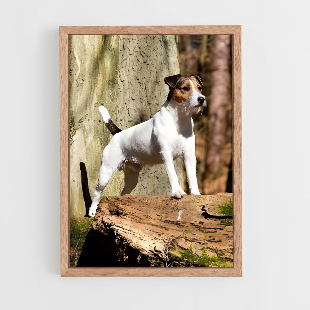 ap-jack russell terrier-2 cadre Bois clair
