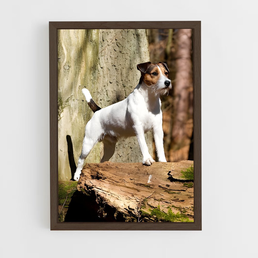 ap-jack russell terrier-2 cadre Bois foncé