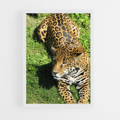 ap-jaguar-2 cadre Blanc