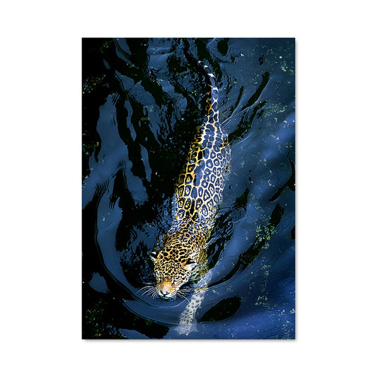 Poster La Danse des Abysses