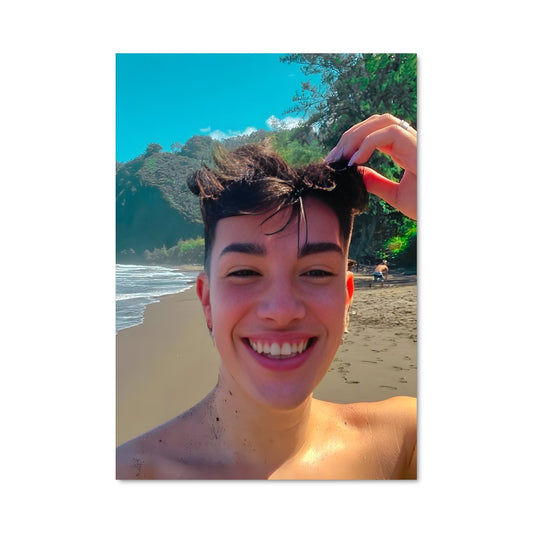 Poster James charles 10688