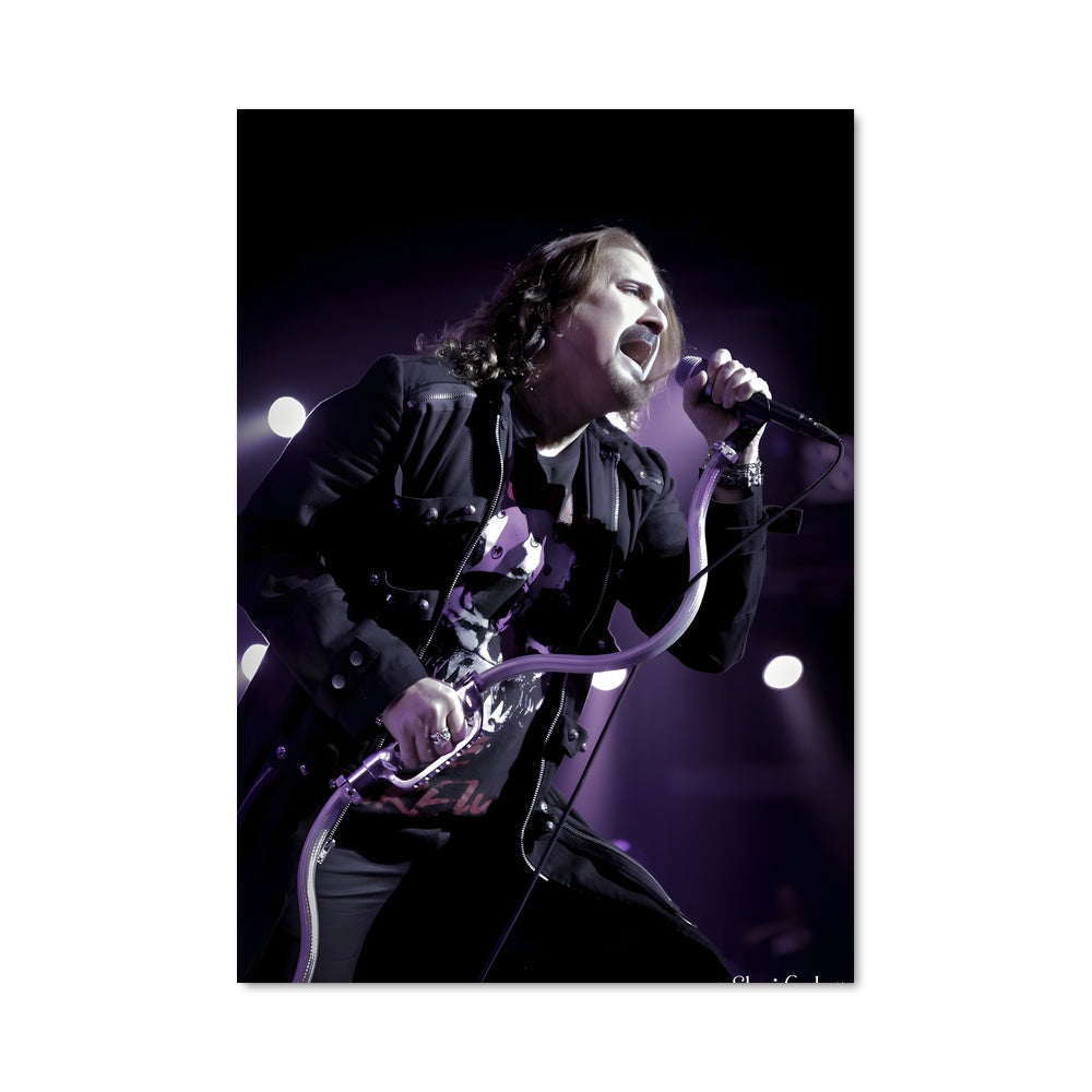 Poster The Cure en Concert