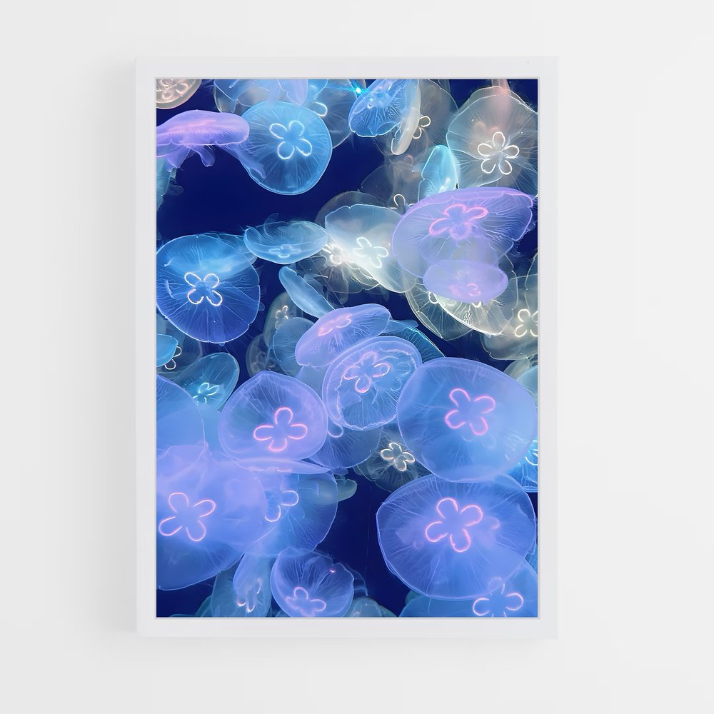ap-jellyfish-6 cadre Blanc
