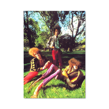 Poster Rolling in the Park