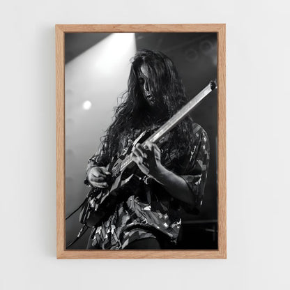 ap-john petrucci-9 cadre Bois clair
