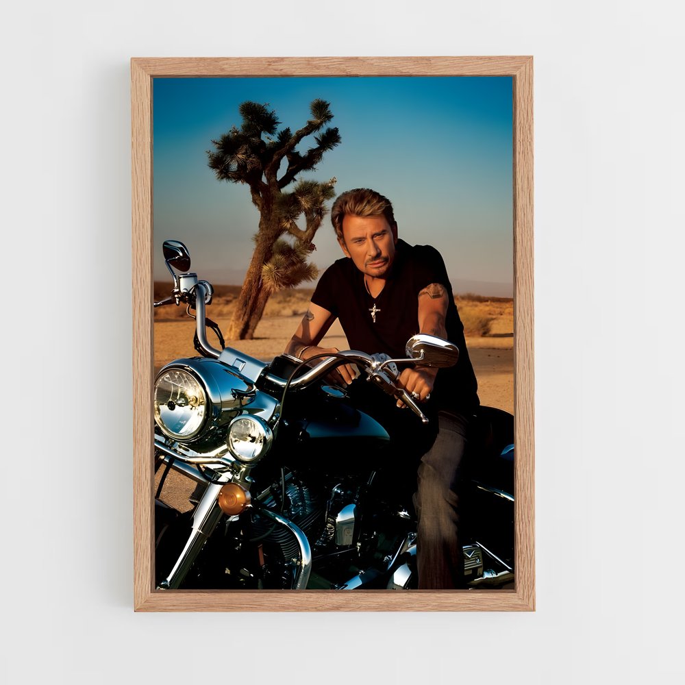 ap-johnny hallyday-1 cadre Bois clair