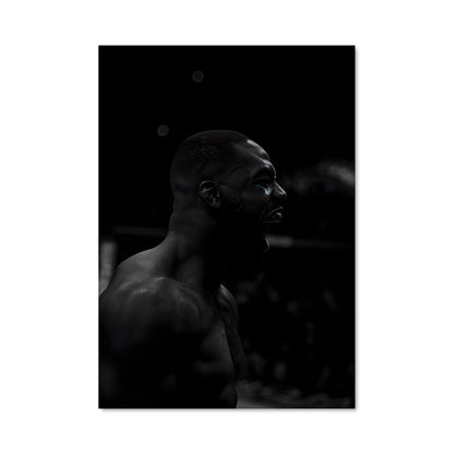 Poster Jon jones 62282