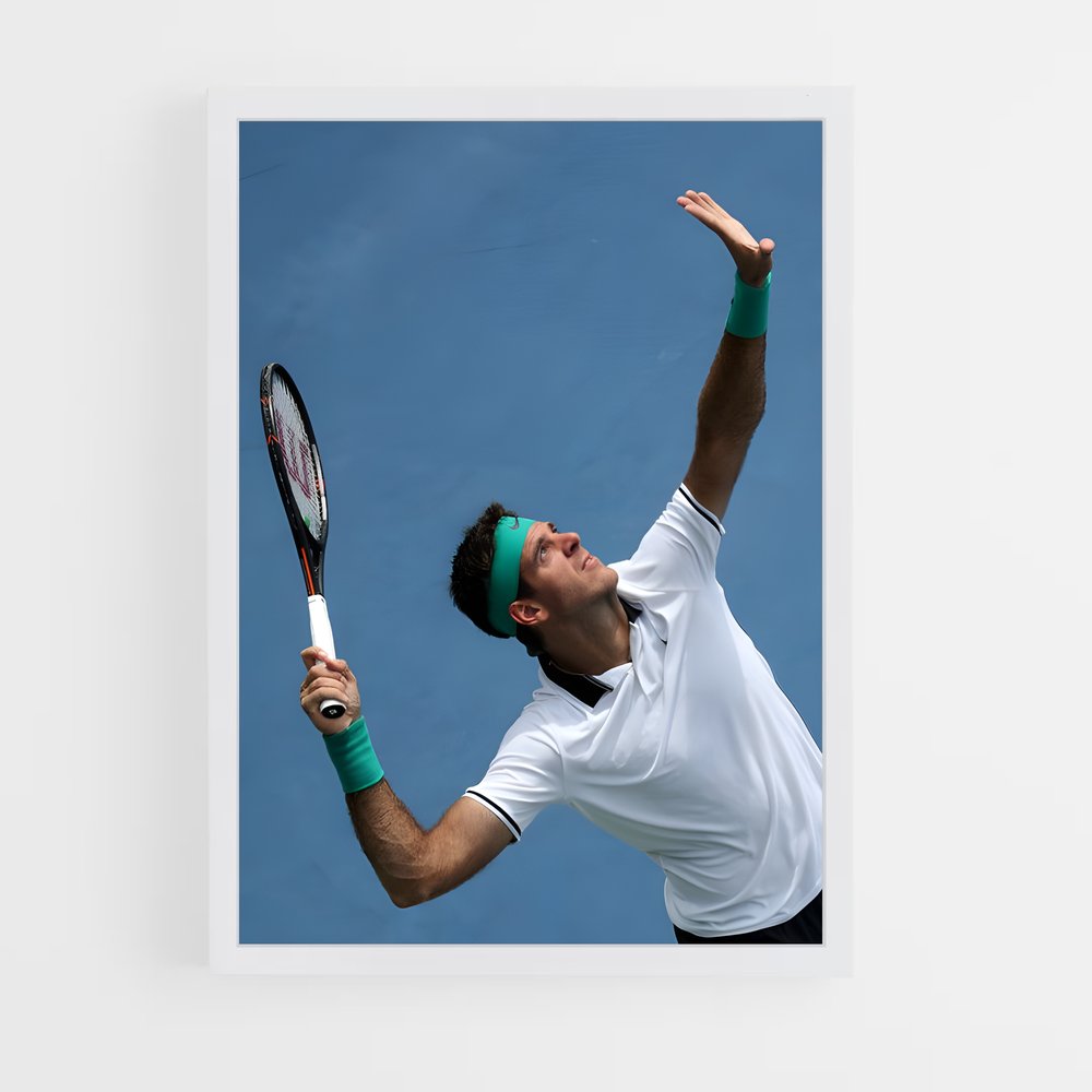 ap-juan martin del potro-2 cadre Blanc
