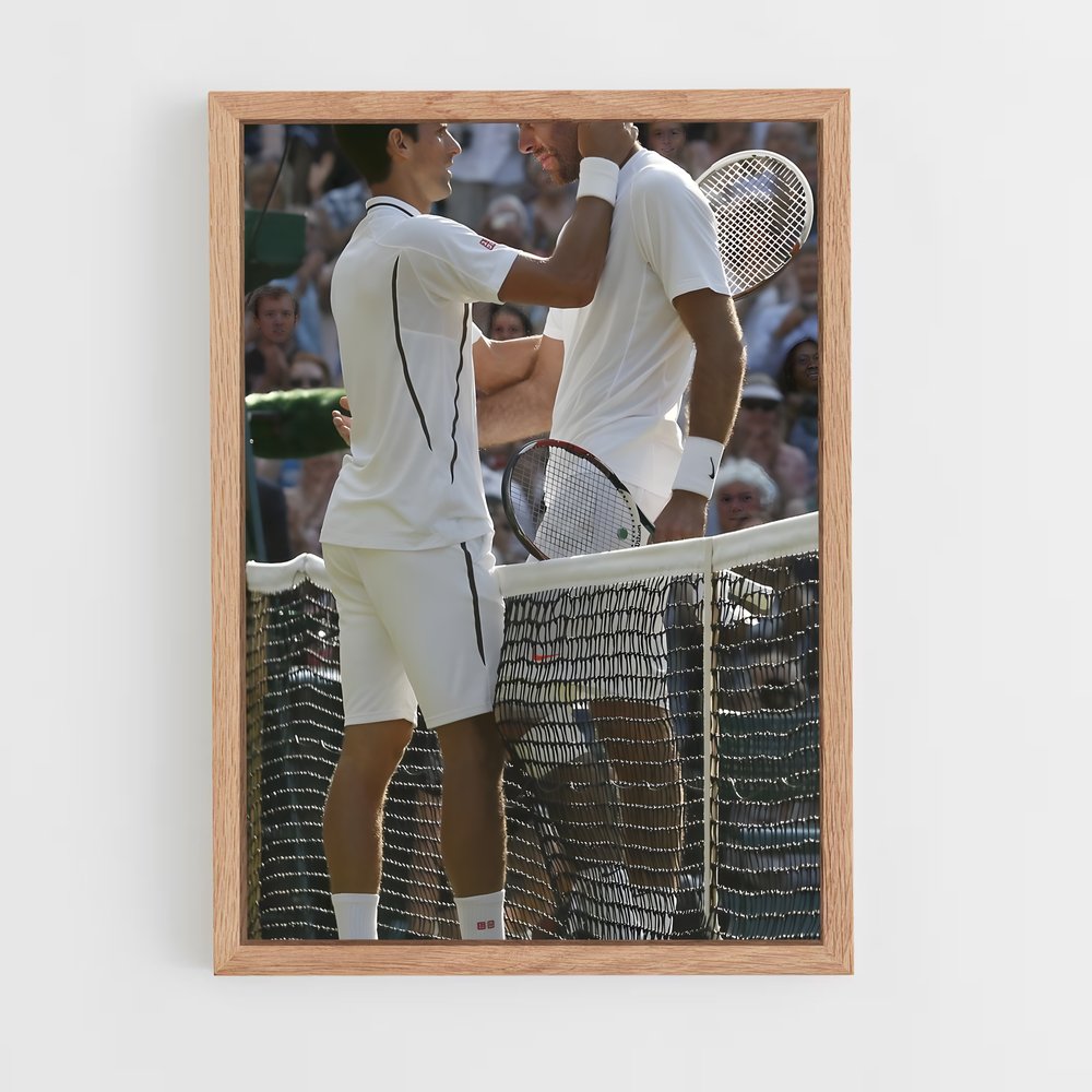 ap-juan martin del potro-3 cadre Bois clair