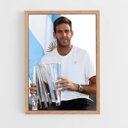 ap-juan martin del potro-5 cadre Bois clair