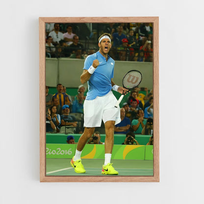 ap-juan martin del potro-6 cadre Bois clair