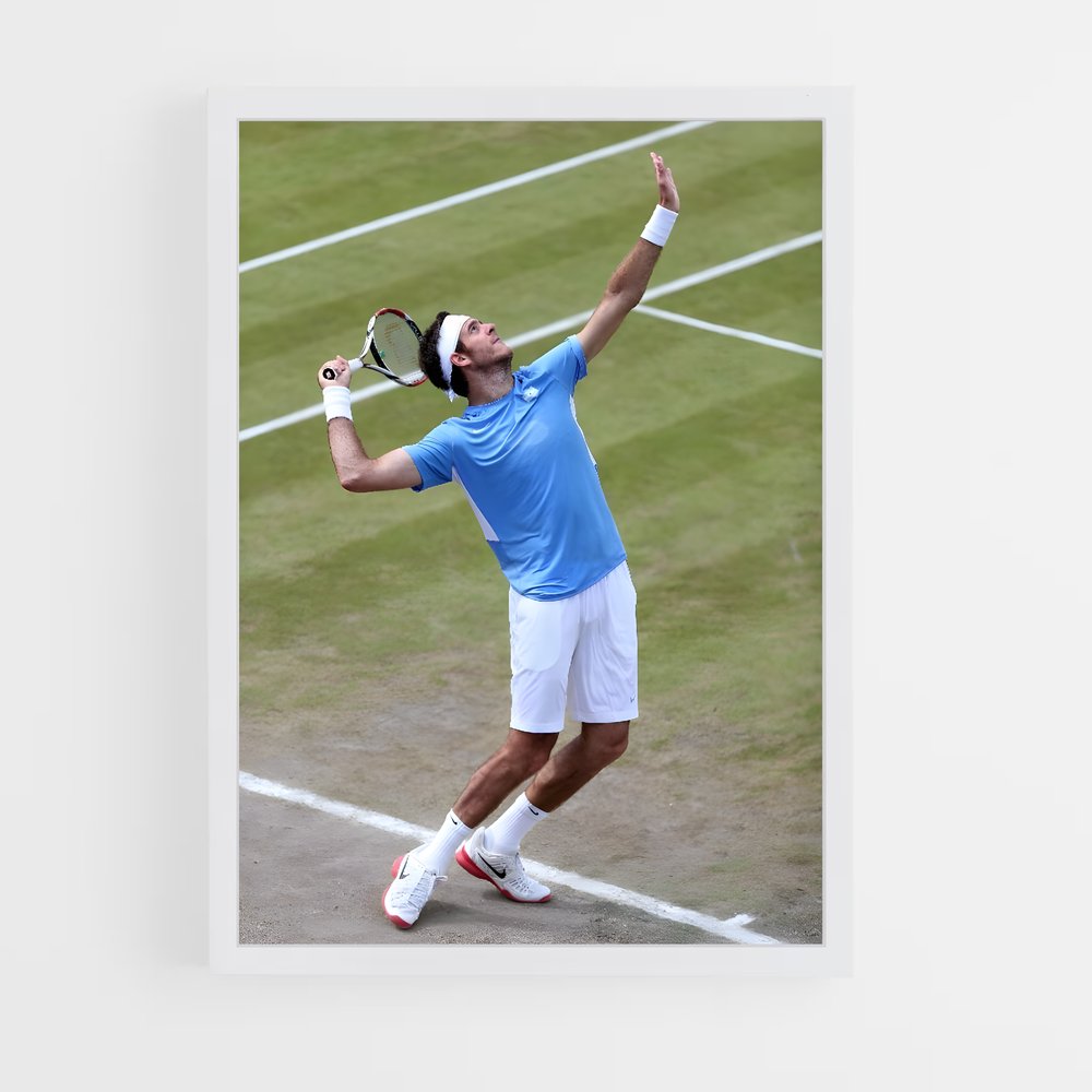 ap-juan martin del potro-7 cadre Blanc