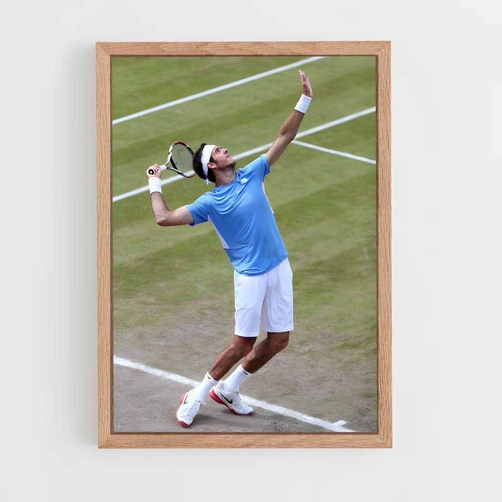 ap-juan martin del potro-7 cadre Bois clair