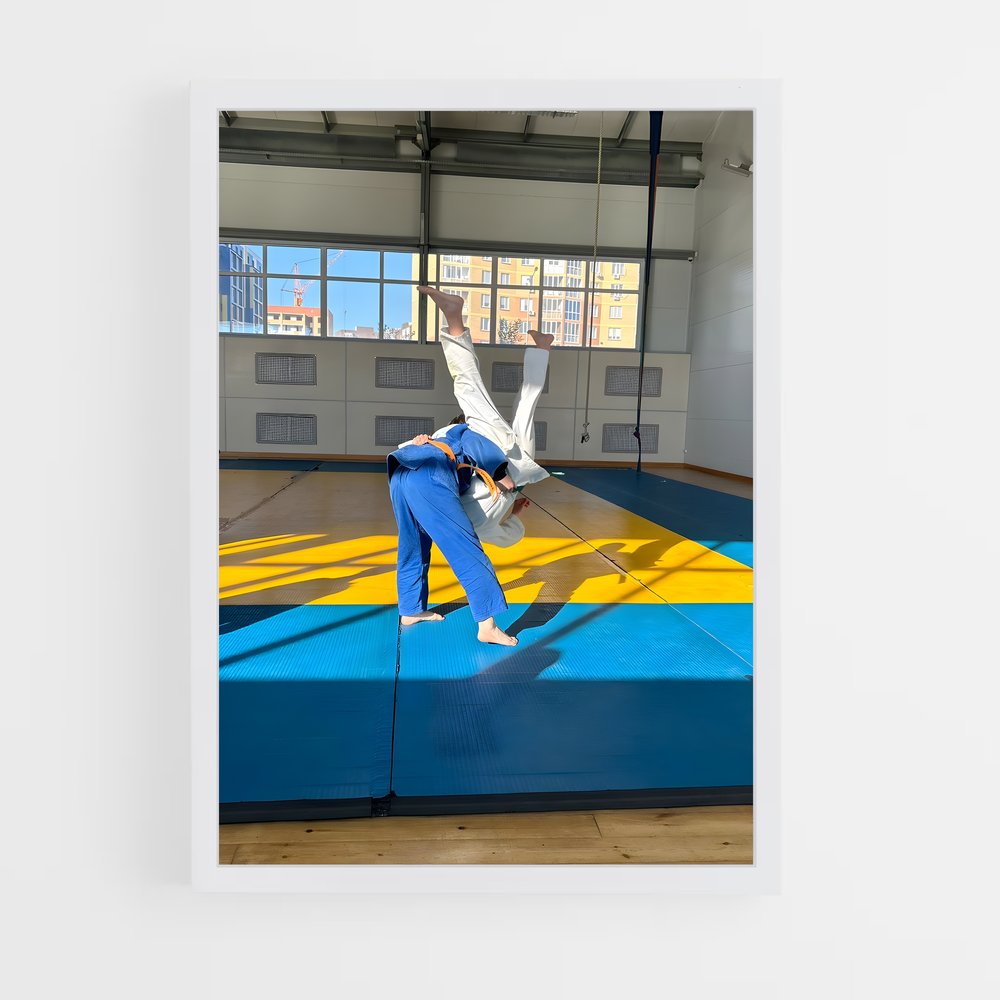 ap-judo-3 cadre Blanc