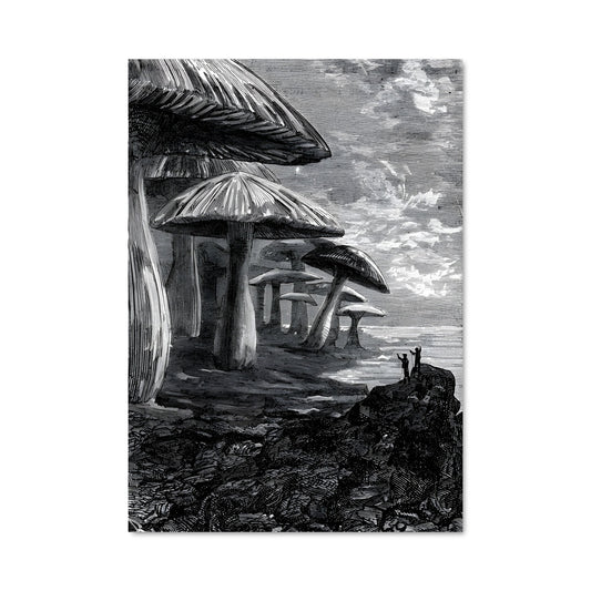 Poster La Maison Champignon
