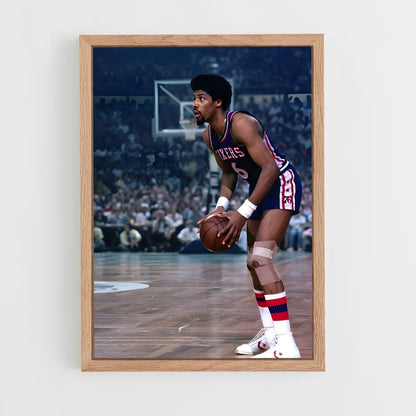 ap-julius erving-1 cadre Bois clair