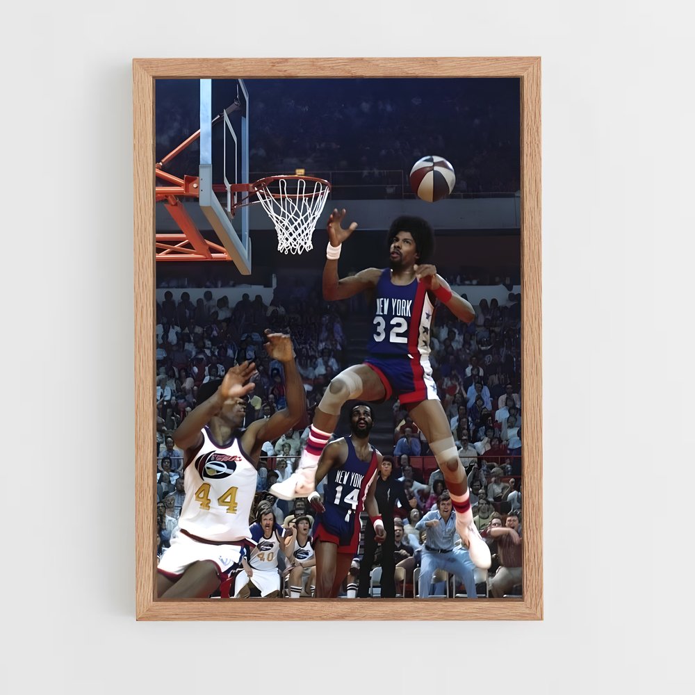 ap-julius erving-12 cadre Bois clair