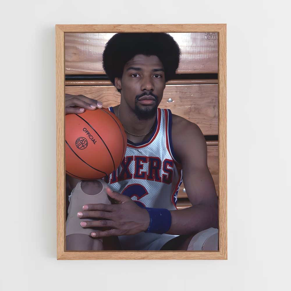 ap-julius erving-5 cadre Bois clair