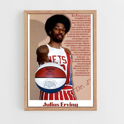 ap-julius erving-6 cadre Bois clair
