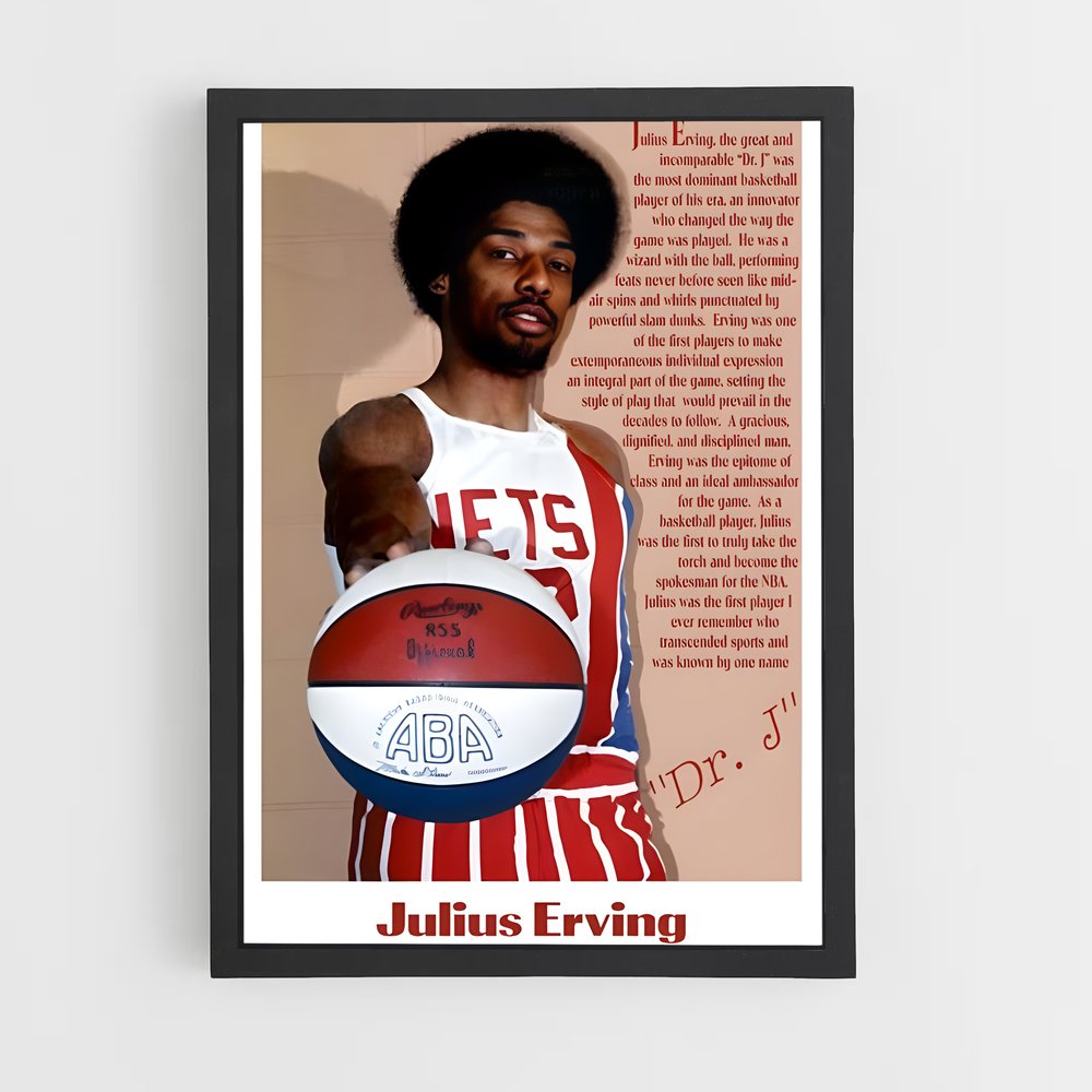 ap-julius erving-6 cadre Noir
