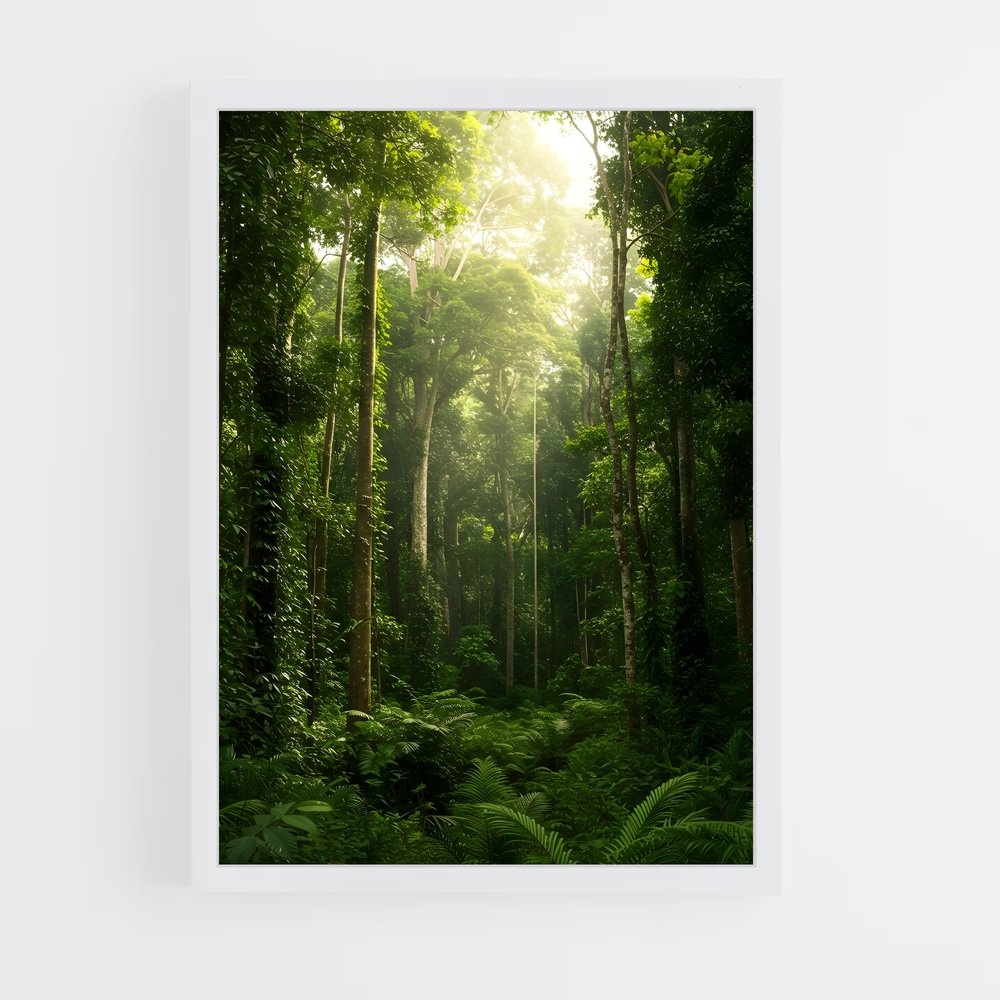 ap-jungle-2 cadre Blanc