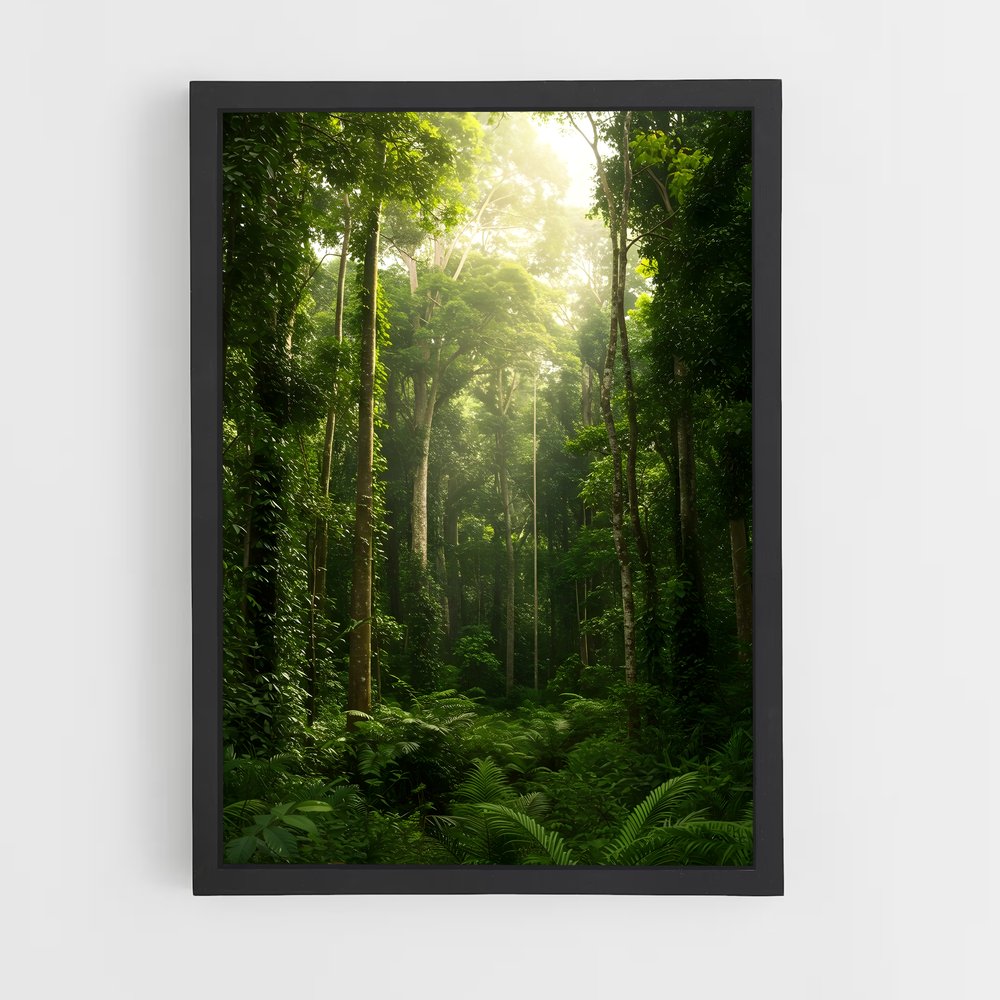 ap-jungle-2 cadre Noir