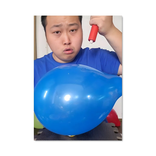 Poster Le Ballon Rêveur