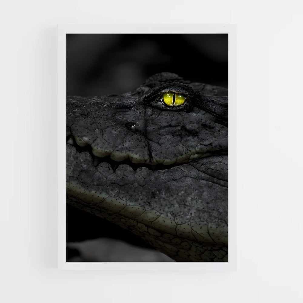 ap-kachikally crocodile pool-1 cadre Blanc
