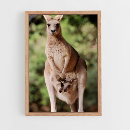 ap-kangaroo-2 cadre Bois clair