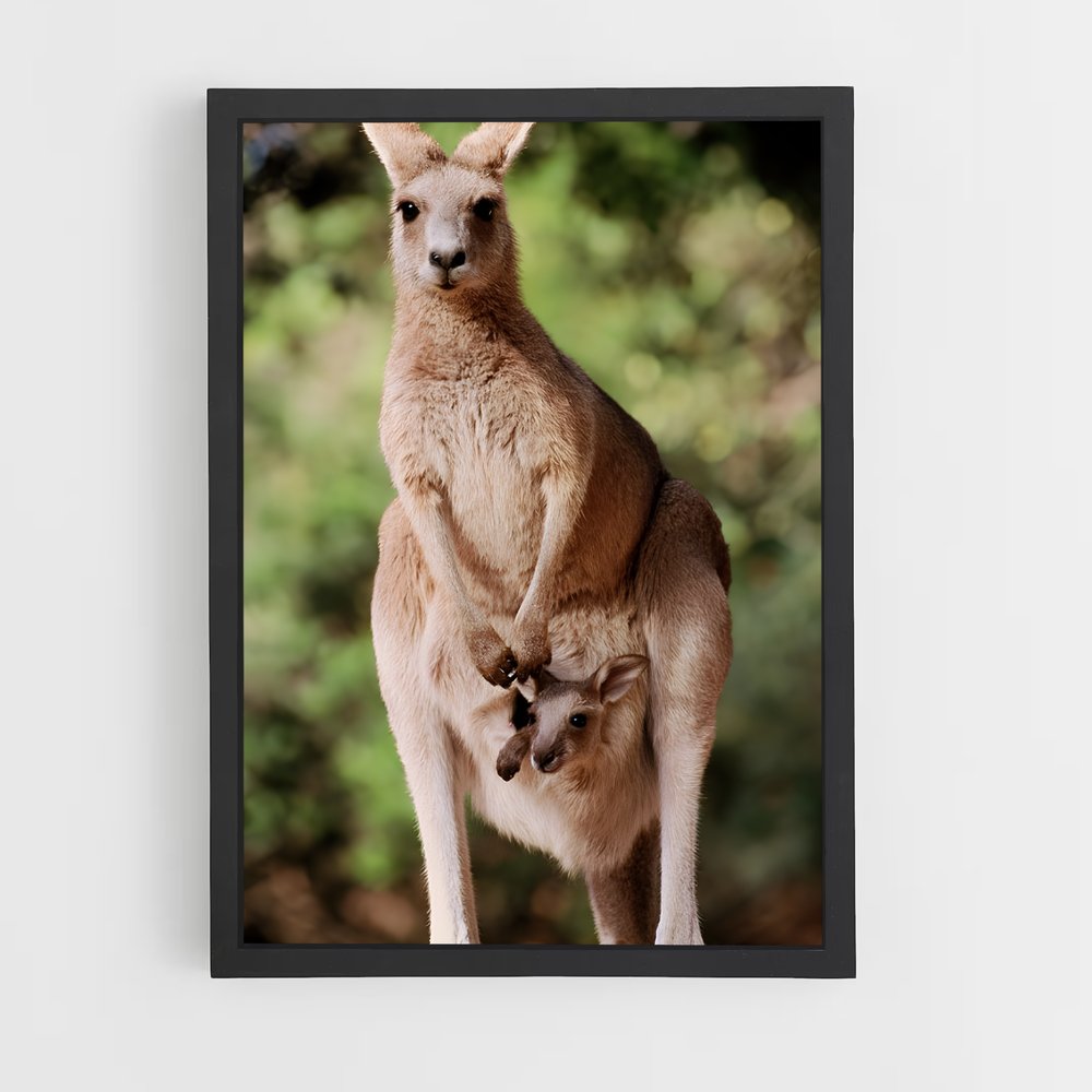 ap-kangaroo-2 cadre Noir
