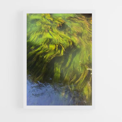 ap-kelp-2 cadre Blanc