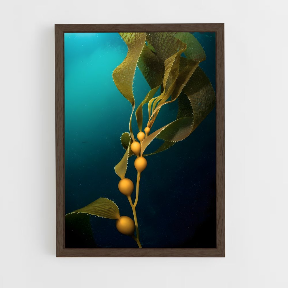 ap-kelp-7 cadre Bois foncé